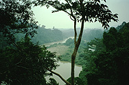 Blick auf Kuala Tahan im Taman Negara Nationalpark